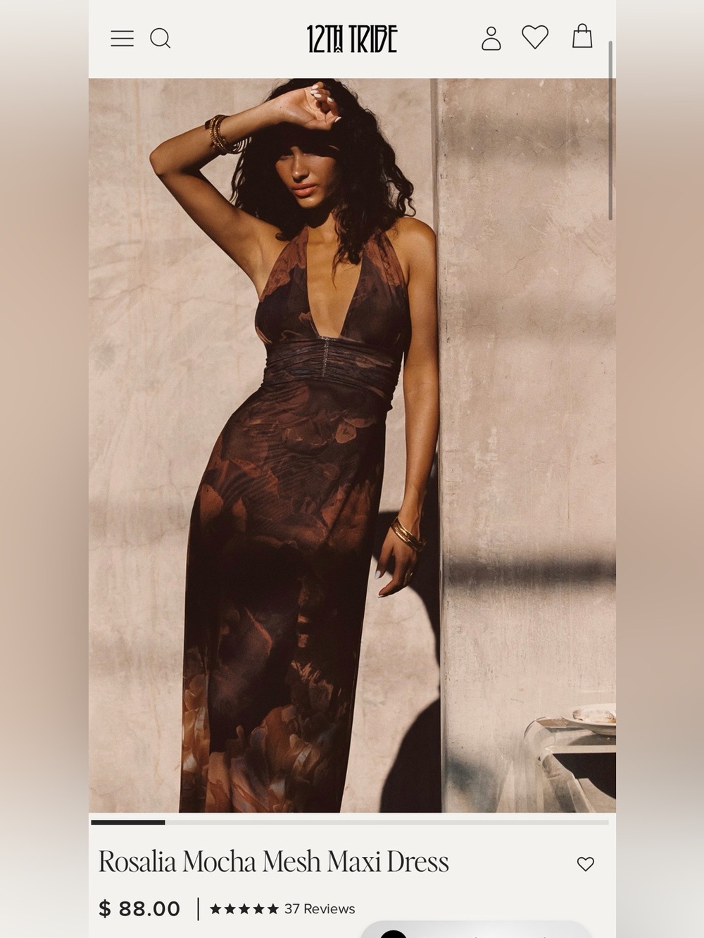 12th tribe Rosalia Mocha Mesh Maxi Dress - Picture 2 of 5